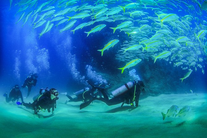 Learn to Scuba Dive in Cabo San Lucas with PADI - Boarding the 45-foot boat