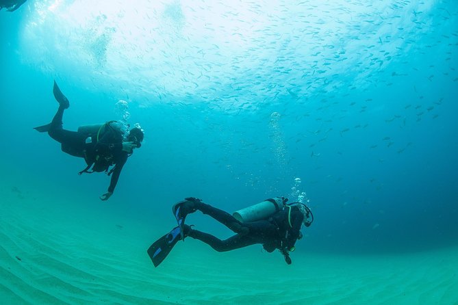 Learn to Scuba Dive in Cabo San Lucas with PADI - Pelican Rock and El Arco