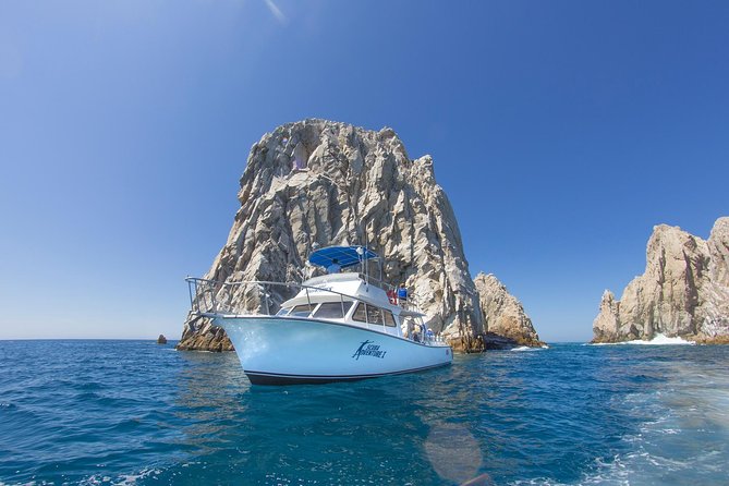 Learn to Scuba Dive in Cabo San Lucas with PADI - Safety and instructor support