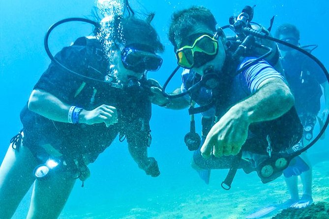 Learn to Scuba Dive in Cabo San Lucas with PADI - Pickup is the detail you must confirm