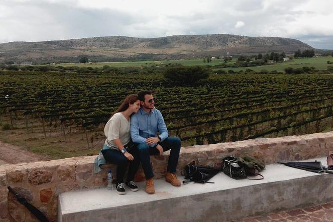 Local Vineyard Tour & Wine Tasting at the Independence Valley - Walking the vines and touring the production rooms