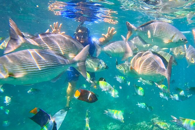 Los Arcos 5 islands Snorkeling Cliff Jumping and Hidden Beach - Mismaloya: beach shops, boat boarding, and the first jump