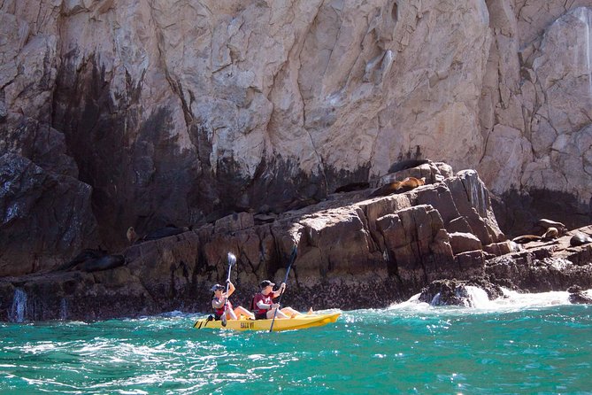 Los Cabos Arch and Playa del Amor Tour by Glass Bottom Kayak - What to bring and who should book it