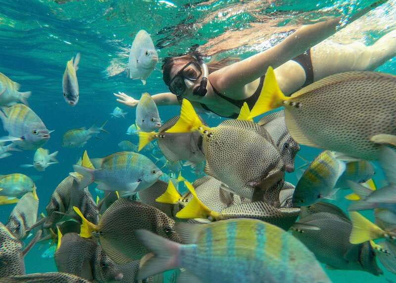 Los Cabos Arch & Lover’s Beach Tour + Snorkeling Tour - Who will enjoy this excursion most