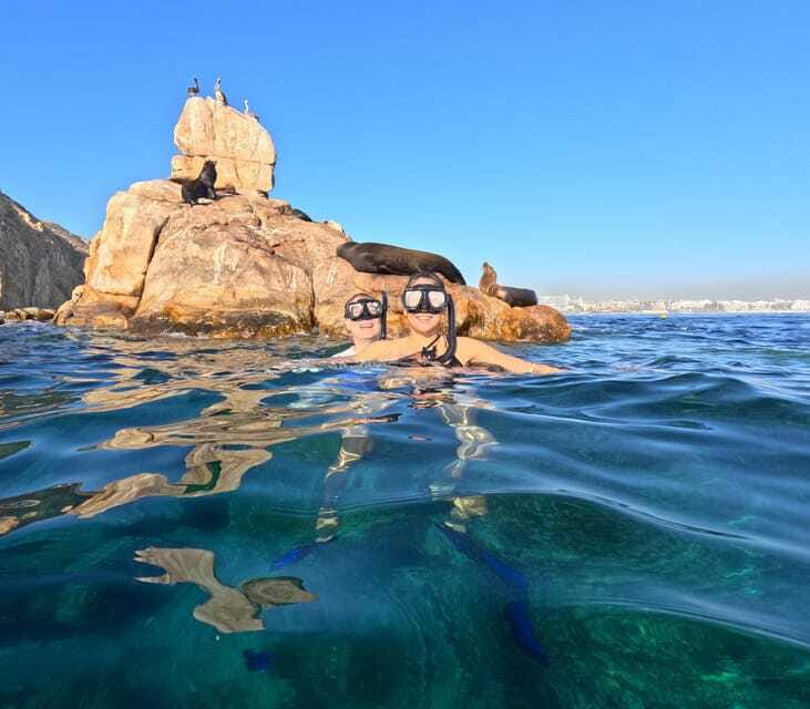Los Cabos Arch & Lover’s Beach Tour + Snorkeling Tour - Should you book the Los Cabos Arch and Lover’s Beach tour?