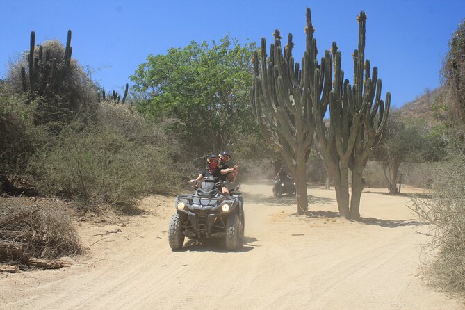 Los Cabos Beach & Desert Tour in Automatic ATV + Tequila Tasting - The Pacific beach is the payoff