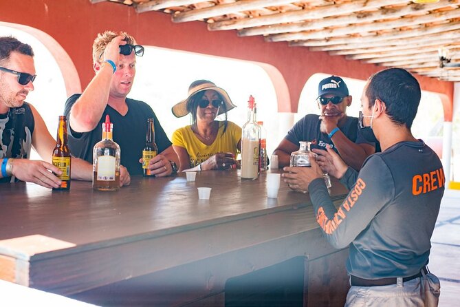 Los Cabos Costa Azul Zipline Eco-Adventure - The suspension bridge, Tarzan Swing, and cliff rappel