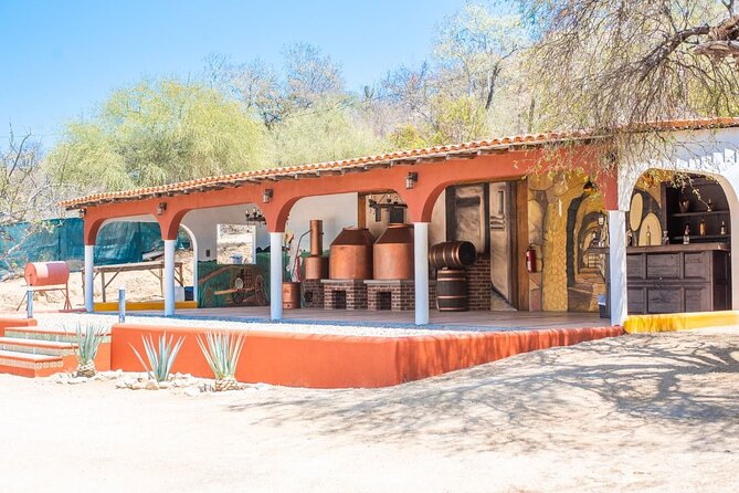 Los Cabos Costa Azul Zipline Eco-Adventure - Who will enjoy it most