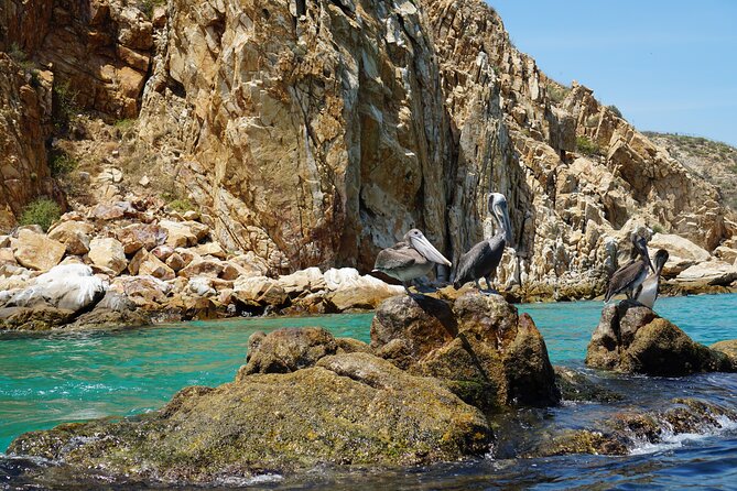 Los Cabos Deluxe City Tour: San Jose, San Lucas and The Arch - Lunch at Jasmine’s in San José del Cabo