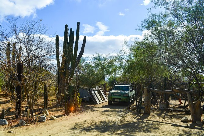 Los Cabos: Hiking at the Fox Canyon with Waterfall - Why Fox Canyon makes a good change from Cabo