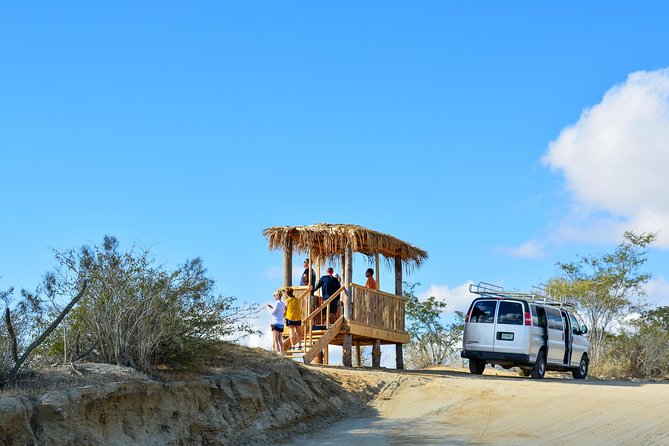 Los Cabos: Hiking at the Fox Canyon with Waterfall - Swimming, rock work, and the practical side of the hike
