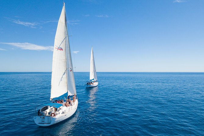 Los Cabos Luxury Sailing, Snorkel and Lunch Cruise - Whales, fish, and the luck factor