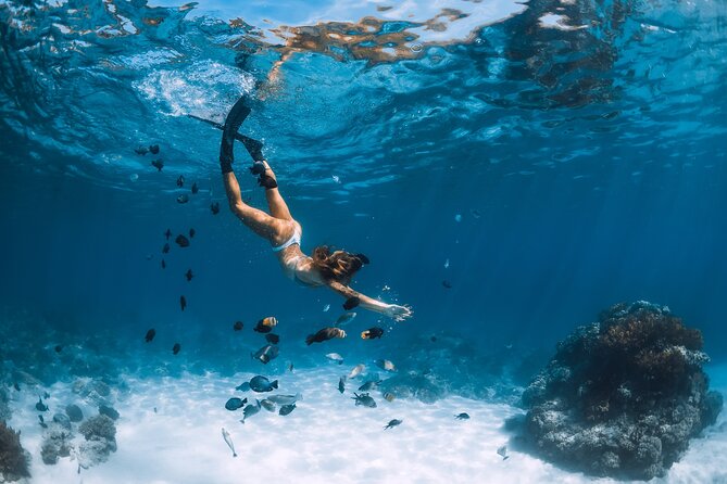 Los Cabos Power snorkel Adventure, Kayaking and Stand-Up Paddle - A fast start from the Cabo San Lucas marina