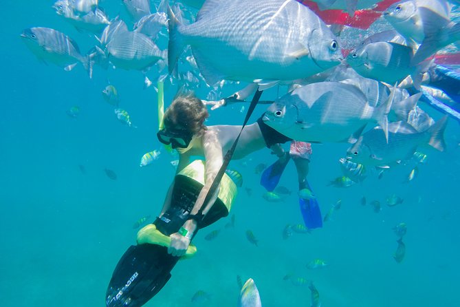 Los Cabos Power snorkel Adventure, Kayaking and Stand-Up Paddle - Guides can make or break the water time