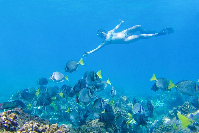 Los Cabos Power snorkel Adventure, Kayaking and Stand-Up Paddle - Who will enjoy this tour most?