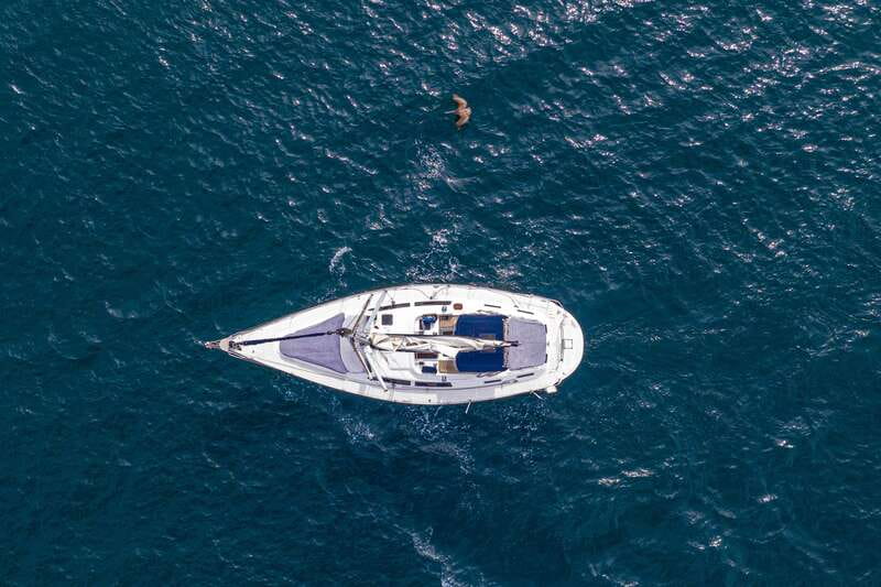 Los Cabos: Shared Sunset Sailing Cruise - Sunset, whales, and the return to Cabo
