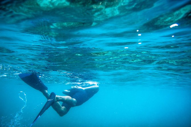 Los Cabos Snorkeling Tour to Chileno Bay and Santa Maria Cove - Why the shore-entry format matters