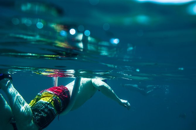 Los Cabos Snorkeling Tour to Chileno Bay and Santa Maria Cove - Who should book this experience?