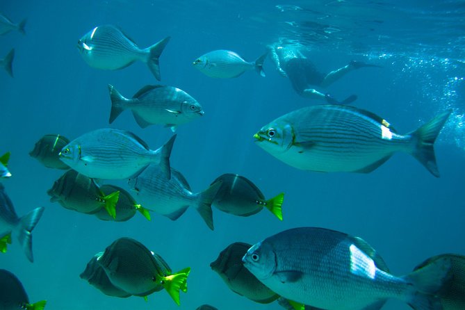 Los Cabos Snorkeling Tour to Chileno Bay and Santa Maria Cove - Santa Maria Cove: the calm first stop