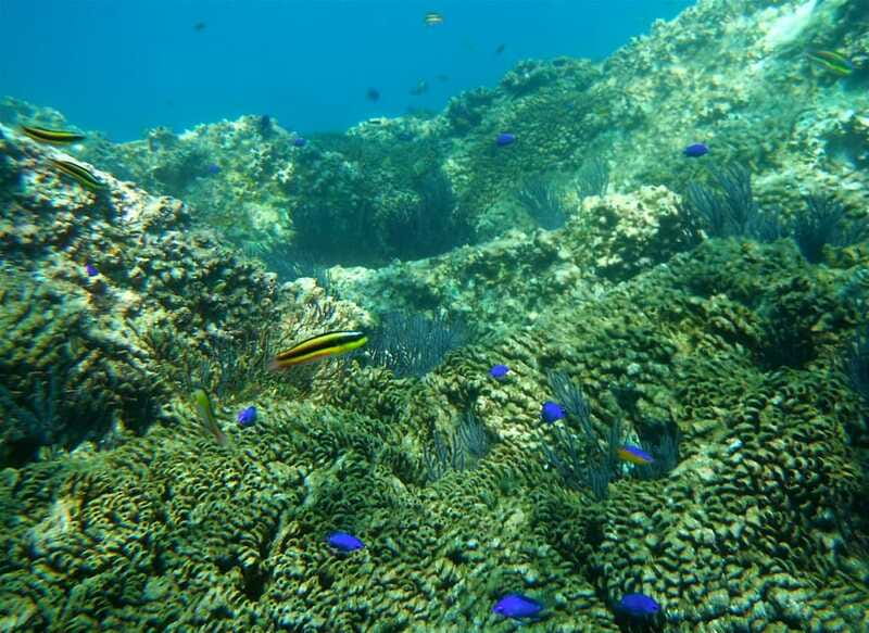 Los Cabos: The Arch and Lover's Beach Kayaking + Snorkeling - Why the guides make a difference