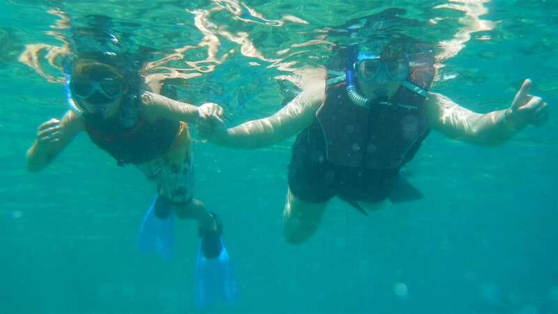 Los Cabos: The Arch and Lover's Beach Kayaking + Snorkeling - What is included for $102