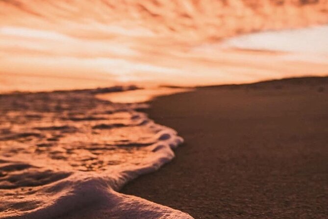 Los Cabos turtle release conservation program - The biggest risk: no hatchlings on your date