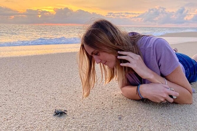 Los Cabos turtle release conservation program - Who will enjoy this Cabo outing most