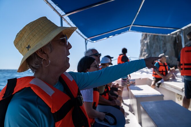 Los Cabos Whale Watching (Transportation and Pictures Included) - Is $90 a Fair Price?