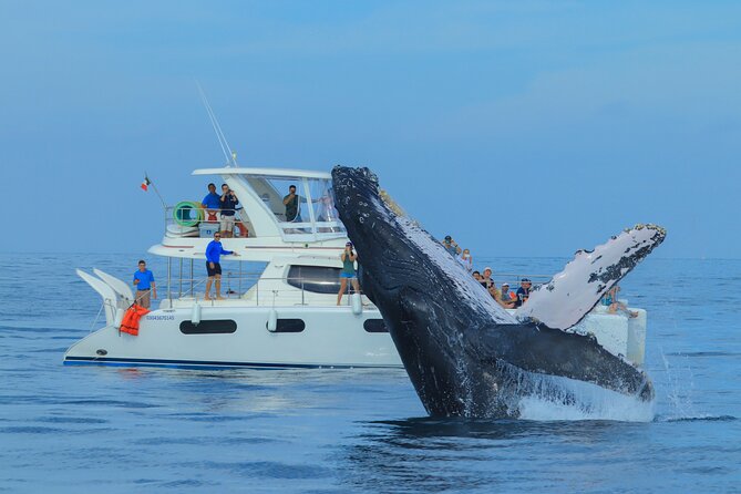 Luxury Catamaran Whale Watching Cabo San Lucas - Why this Cabo whale tour feels different