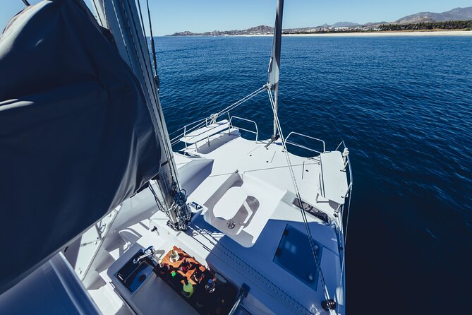 Luxury Whale Watch Cruise to The Arch Los Cabos - Starting from Cabo’s marina