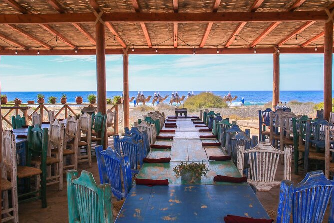 Magical Todos Santos Tour, Camel Ranch, Lunch and Tequila - The guides make the long day easier