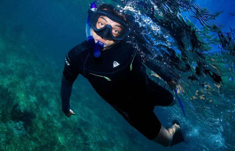 Mahahual: Snorkel Tour in Reef Lagoon - Booking, cancellations, and timing