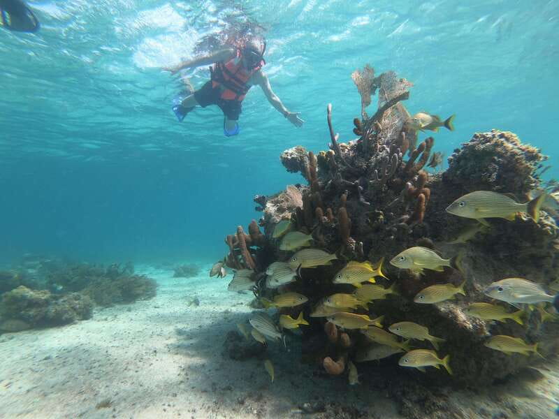 Mahahual: Snorkel Tour in Reef Lagoon - One hour among coral heads, sand, and grass