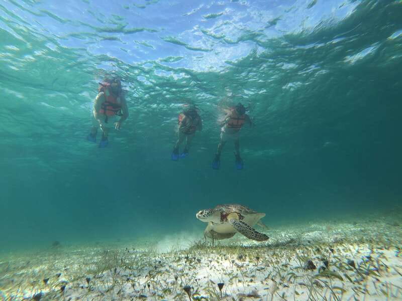 Mahahual: Snorkel Tour in Reef Lagoon - The practical limits you should take seriously