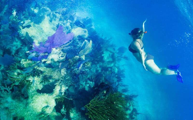 Mahahual: Snorkel Tour in Reef Lagoon - A useful reef briefing before you enter the water