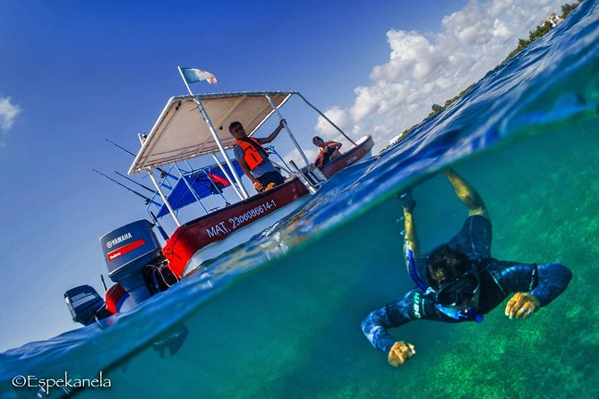 Mahahual Snorkeling Adventure: Turtle Encounter - A short boat ride into Mahahual’s reef lagoon