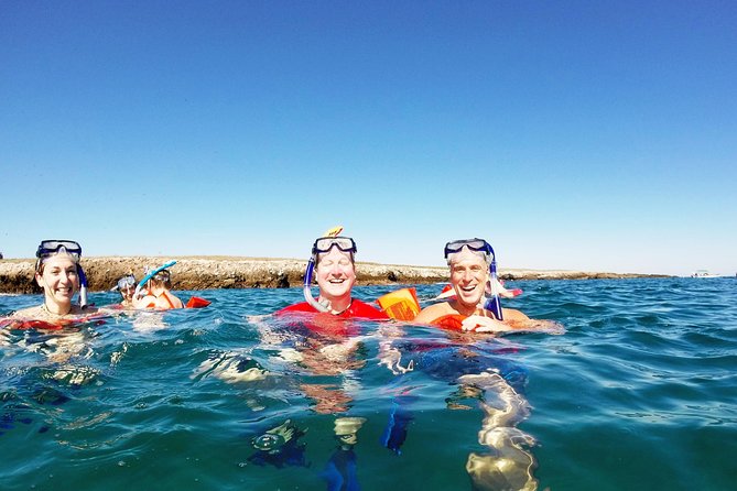 Marietas Islands snorkeling & Hidden beach (w/ restrictions) - Why the Marietas Islands are worth your morning