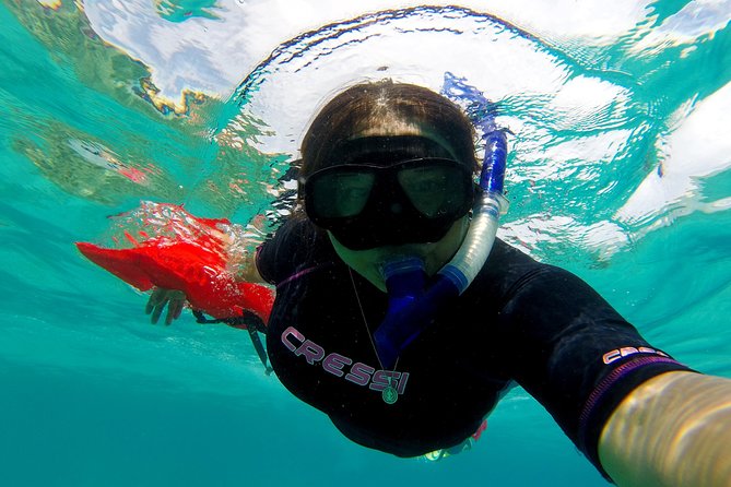 Marietas Islands snorkeling & Hidden beach (w/ restrictions) - Checking in at Marina Vallarta