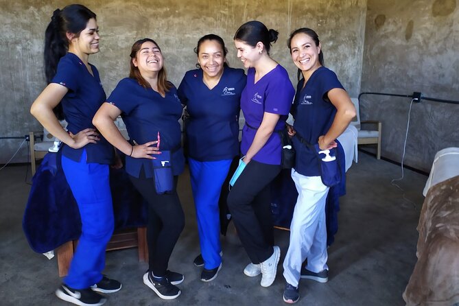 Massage Experience with Certified Therapists & Pickup Drop-Off - Your Drop-Off Can Extend the Port Visit