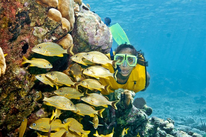 Mayan Adventure Snorkeling Tour from Playa del Carmen or Riviera Maya - Three ecosystems, one busy but rewarding day