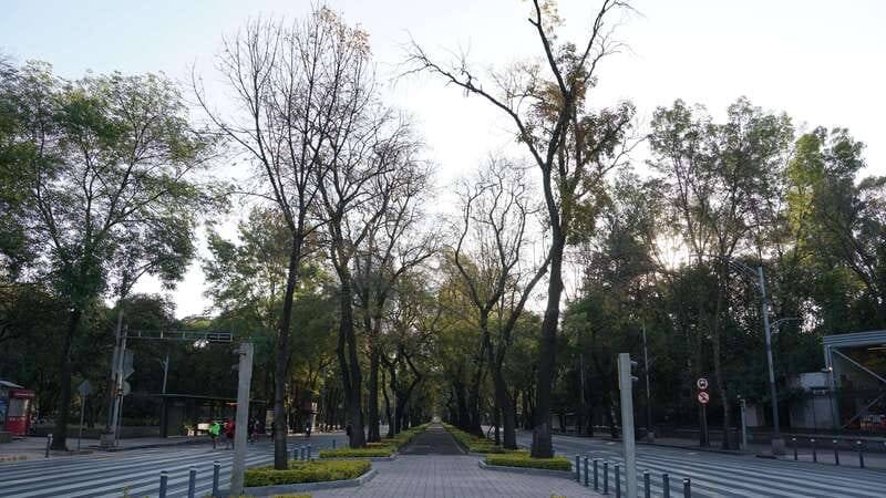 Mexico City: 19 City Highlights Bicycle Tour - Does $70 offer good value?
