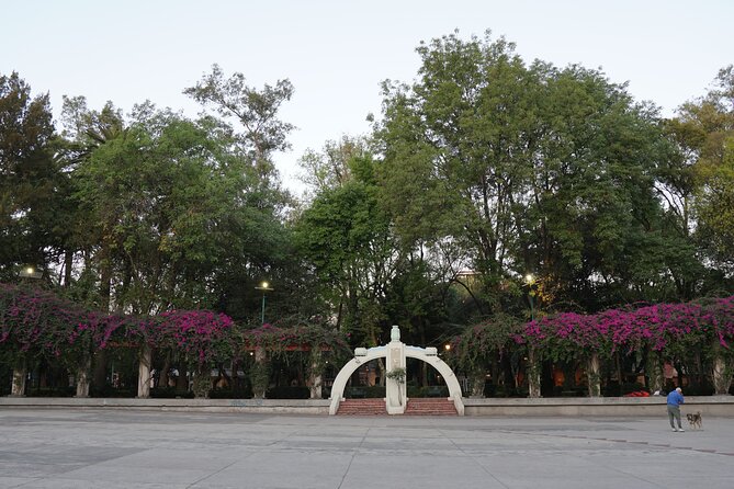Mexico City: 19 City Highlights Bicycle Tour - The historic center arrives in a rapid sequence