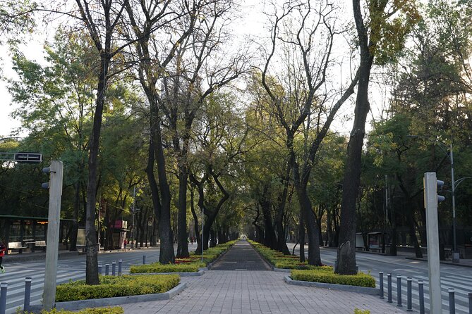 Mexico City: 19 City Highlights Bicycle Tour - Why Sunday changes the experience