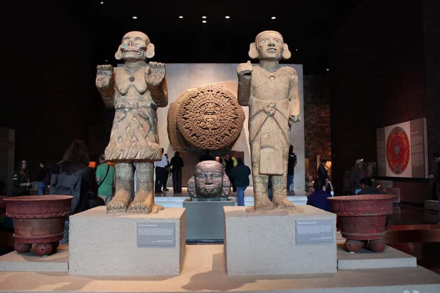 Mexico City: Anthropology Museum Skip-the-Line Ticket - The Building Is Part of the Visit