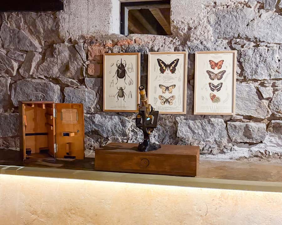 Mexico City: Frida Kahlo Museum Entry Ticket w/Digital Guide - Is $34 good value?