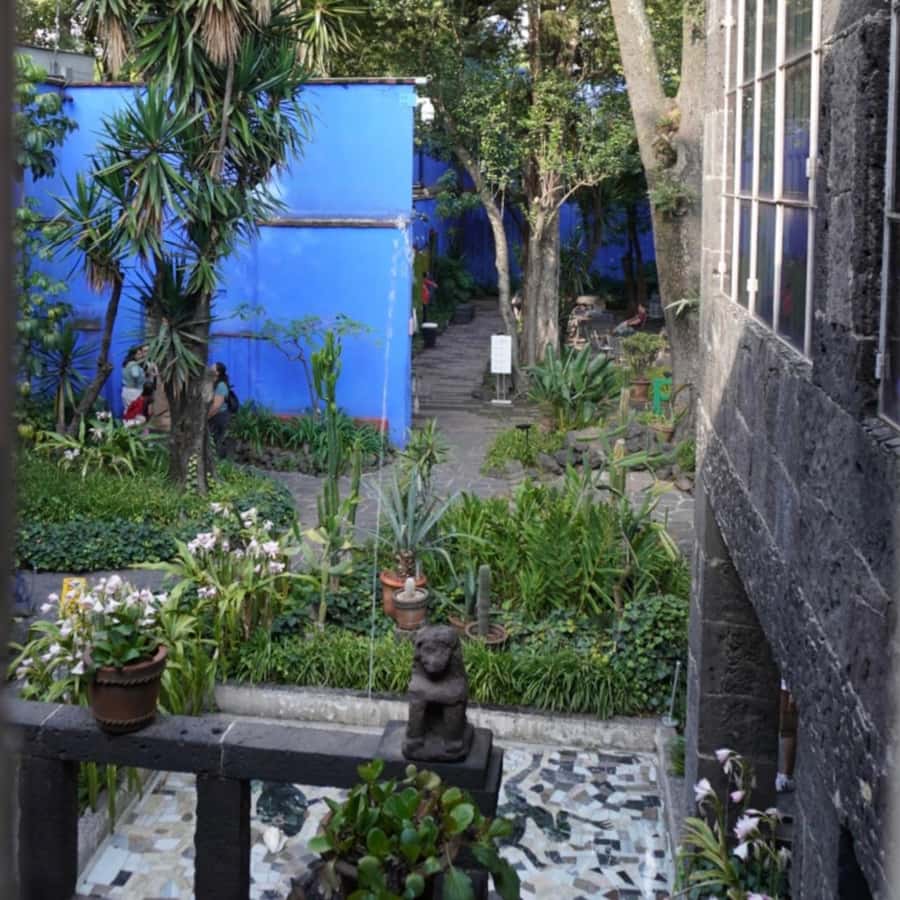 Mexico City: Frida Kahlo Museum Tour - Key points at a glance