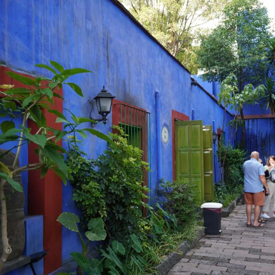 Mexico City: Frida Kahlo Museum Tour - Entering Frida’s Blue House