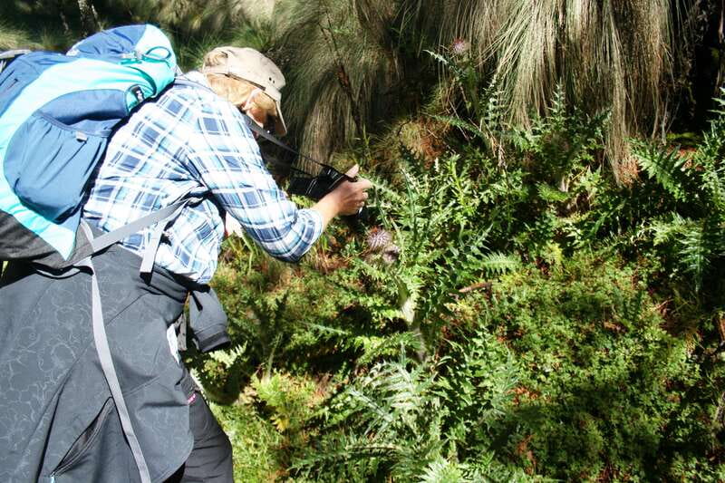 Mexico City: Guided Volcano Trek with Lunch - Why the Guides Matter at High Altitude