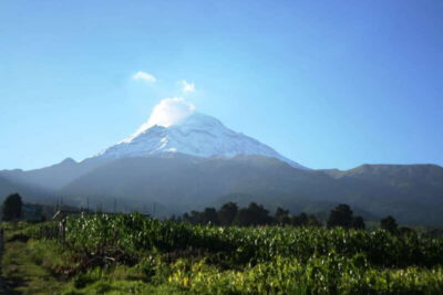 Guided Volcano Trek with Lunch