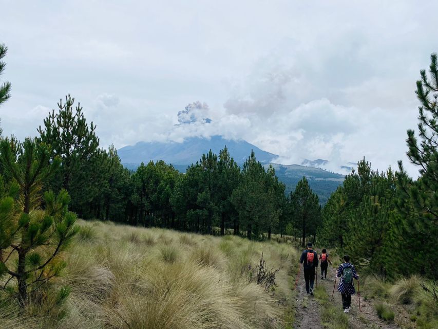 Mexico City: Guided Volcano Trek with Lunch - Is $105 a Fair Price?